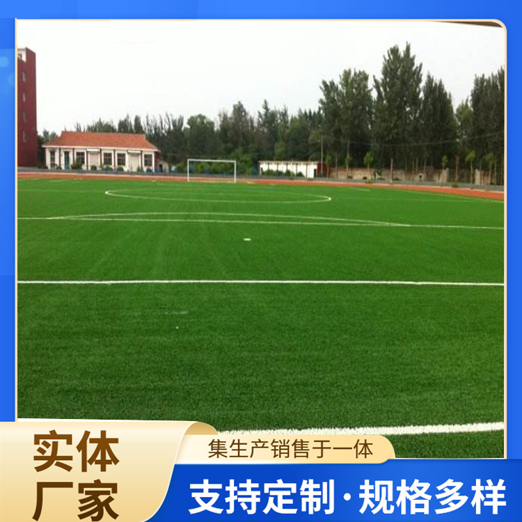 曲靖市EPDM颗粒人造草坪 - 排名